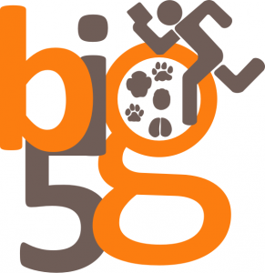 big5-logo-50